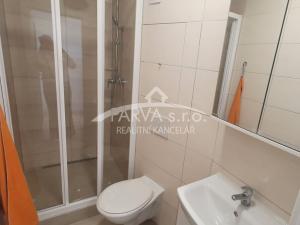 Pronájem bytu 1+kk, Plzeň - Jižní Předměstí, U Borského parku, 22 m2
