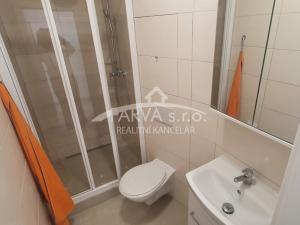 Pronájem bytu 1+kk, Plzeň - Jižní Předměstí, U Borského parku, 22 m2