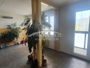 Pronájem bytu 1+kk, Plzeň - Jižní Předměstí, U Borského parku, 22 m2