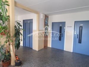Pronájem bytu 1+kk, Plzeň - Jižní Předměstí, U Borského parku, 22 m2