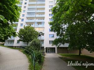 Pronájem bytu 1+kk, Brno, Oblá, 36 m2
