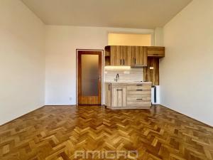 Pronájem bytu 1+kk, Brno, Kotlářská, 25 m2