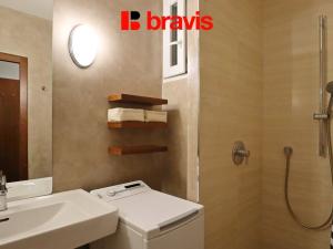 Pronájem bytu 1+1, Brno, Mášova, 45 m2