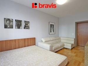 Pronájem bytu 1+1, Brno, Mášova, 45 m2