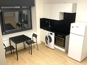 Pronájem bytu 1+kk, Praha - Hloubětín, Poděbradská, 28 m2