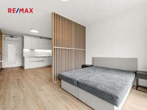 Pronájem bytu 1+kk, Praha - Žižkov, Malešická, 47 m2
