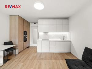 Pronájem bytu 1+kk, Praha - Žižkov, Malešická, 47 m2