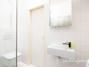 Pronájem bytu 1+kk, Praha - Žižkov, Biskupcova, 22 m2