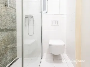 Pronájem bytu 1+kk, Praha - Žižkov, Biskupcova, 22 m2