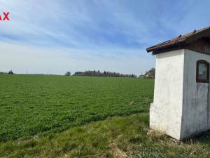 Prodej pozemku pro bydlení, Spálov, 24002 m2