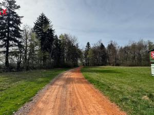 Prodej lesa, Spálov, 25088 m2