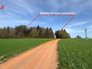 Prodej lesa, Spálov, 25088 m2