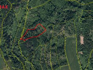 Prodej lesa, Spálov, 25088 m2