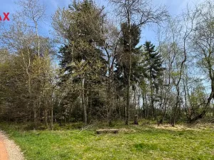 Prodej lesa, Spálov, 25088 m2