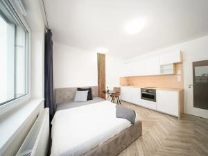 Pronájem bytu 1+kk, Brno, Cejl, 26 m2