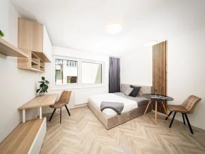 Pronájem bytu 1+kk, Brno, Cejl, 26 m2