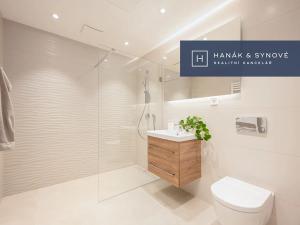 Pronájem bytu 1+kk, Brno, Cejl, 26 m2