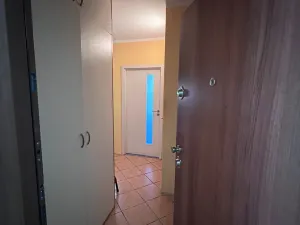 Prodej bytu 3+1, Brno, 62 m2