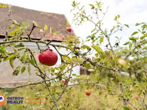 Prodej zemědělské usedlosti, Chlum, 823 m2