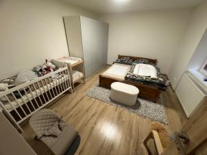 Pronájem bytu 3+kk, Frýdek-Místek, Maxe Švabinského, 69 m2