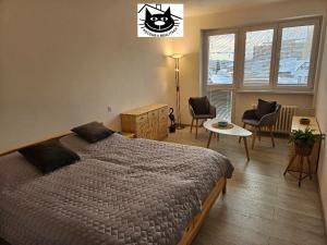 Pronájem bytu 2+kk, Příbram - Příbram I, Hradební, 55 m2