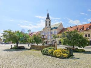 Pronájem bytu 2+kk, Rokycany, Havlíčkova, 32 m2