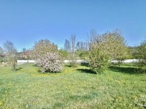 Prodej pozemku pro bydlení, Ouběnice, Ouběnice, 1533 m2