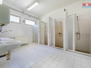 Prodej výrobních prostor, Rokycany - Nové Město, Václava Nového, 4311 m2