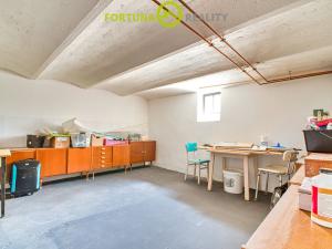 Prodej vily, Dolní Benešov - Zábřeh, Opavská, 338 m2