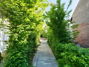 Prodej rodinného domu, Dolní Benešov - Zábřeh, Opavská, 338 m2