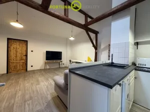 Prodej rodinného domu, Dolní Benešov - Zábřeh, Opavská, 338 m2