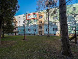 Pronájem bytu 2+1, Hranice - Hranice I-Město, Obránců míru, 50 m2