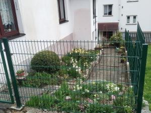 Prodej chalupy, Oloví, Horní Ulice, 90 m2