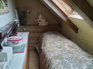 Prodej chalupy, Oloví, Horní Ulice, 90 m2