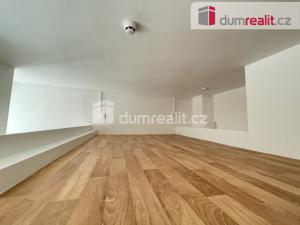 Pronájem bytu 1+kk, Praha - Smíchov, Radlická, 25 m2