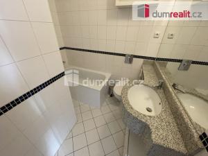 Pronájem bytu 1+kk, Praha - Smíchov, Radlická, 25 m2