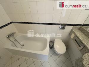 Pronájem bytu 1+kk, Praha - Smíchov, Radlická, 25 m2