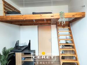 Prodej vícegeneračního domu, Žatec, Chomutovská, 300 m2