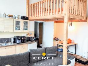 Prodej vícegeneračního domu, Žatec, Chomutovská, 300 m2
