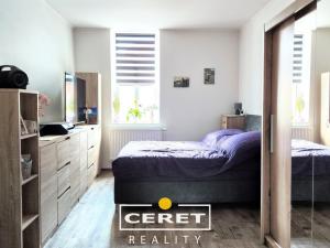 Prodej vícegeneračního domu, Žatec, Chomutovská, 300 m2