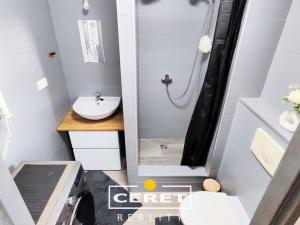 Prodej vícegeneračního domu, Žatec, Chomutovská, 300 m2
