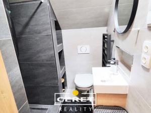 Prodej vícegeneračního domu, Žatec, Chomutovská, 300 m2