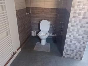 Prodej atypického bytu, Děčín - Děčín IV-Podmokly, Teplická, 93 m2
