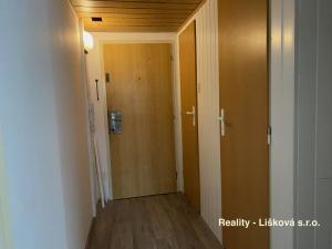 Prodej bytu 1+kk, Ústí nad Labem - Krásné Březno, Žežická, 30 m2