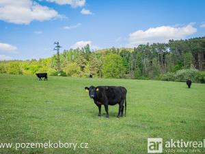Prodej pozemku pro bydlení, Obory, 1147 m2