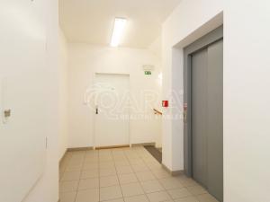 Pronájem bytu 2+1, Praha - Dejvice, Lindleyova, 55 m2