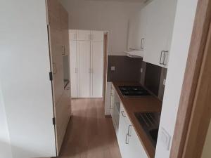 Pronájem bytu 2+1, Praha - Nusle, Plamínkové, 50 m2