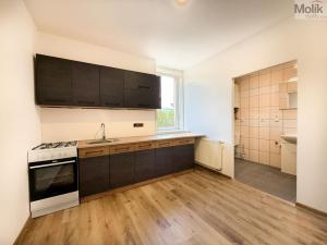 Pronájem bytu 2+1, Háj u Duchcova, Kubátova, 45 m2