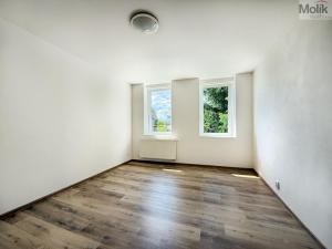 Pronájem bytu 2+1, Háj u Duchcova, Kubátova, 45 m2