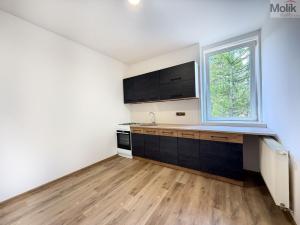Pronájem bytu 2+1, Háj u Duchcova, Kubátova, 45 m2